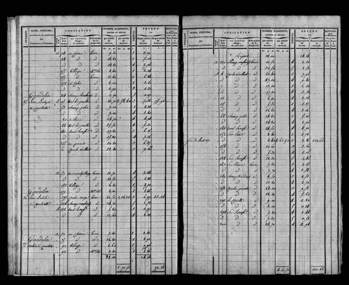 Etat de sections et matrice foncière.