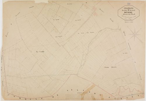 Cramans, section D, la Rivière, feuille 4.géomètre : Olivier et Grenier