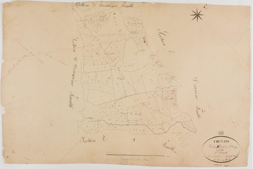Crenans, section D, l'Etang, feuille 1.géomètre : Bénier fils
