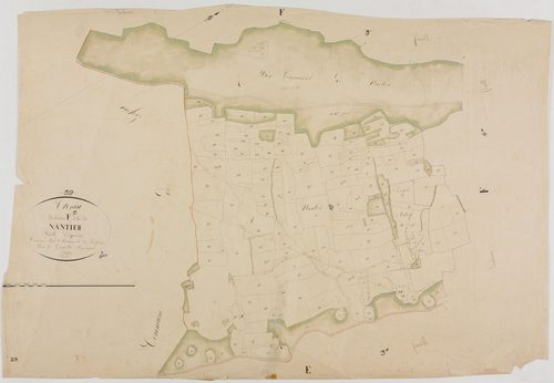 Cressia, section F, Nantier, feuille 5.géomètre : Métadieu