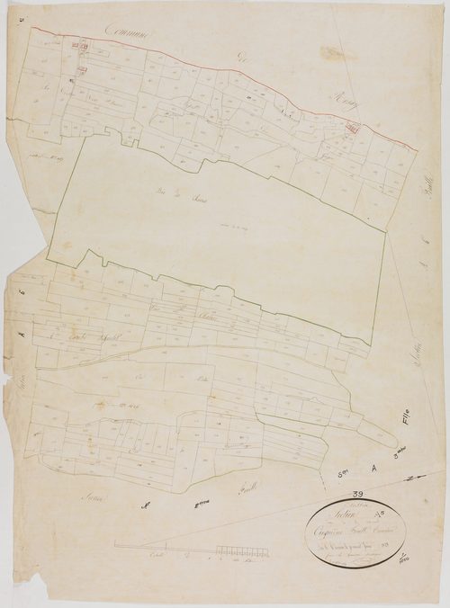 Cressia, section A, Chenaud, feuille 5.géomètre : Bouvard