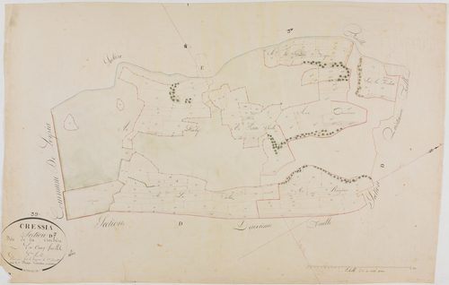 Cressia, section D, la Crochère, feuille 3.géomètre : Bénier