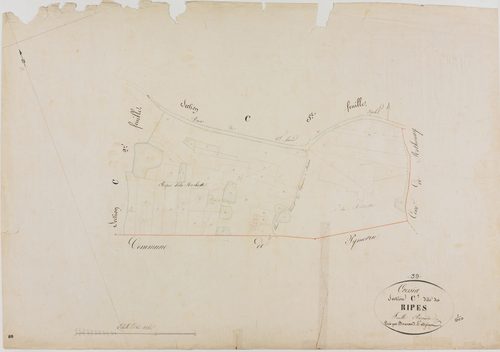 Cressia, section C, les Ripes, feuille 1.géomètre : Bouvard