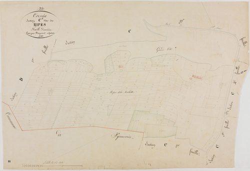 Cressia, section C, les Ripes, feuille 2.géomètre : Bouvard
