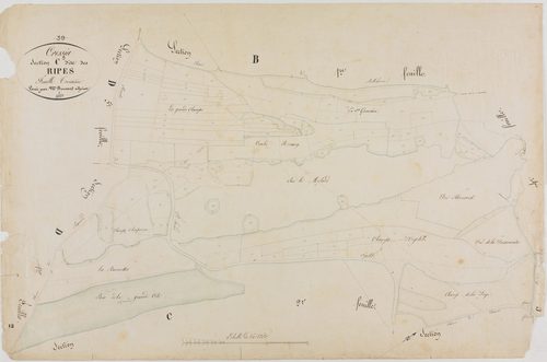 Cressia, section C, les Ripes, feuille 3.géomètre : Bouvard