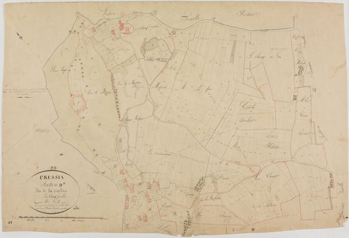 Cressia, section D, la Crochère, feuille 5.géomètre : Bénier