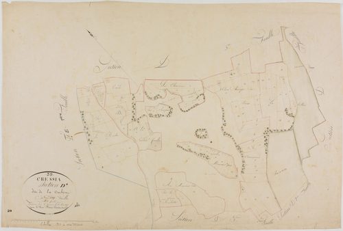 Cressia, section D, la Crochère, feuille 4.géomètre : Bénier