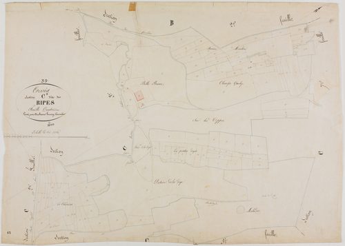 Cressia, section C, les Ripes, feuille 4.géomètre : Henry Duchesne