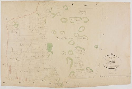 Cressia, section F, Nantier, feuille 1.géomètre : Métadieu