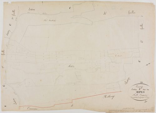 Cressia, section C, les Ripes, feuille 5.géomètre : Henry Duchesne
