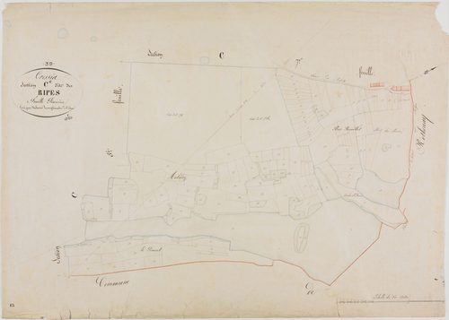 Cressia, section C, les Ripes, feuille 6.géomètre : Henry Duchesne