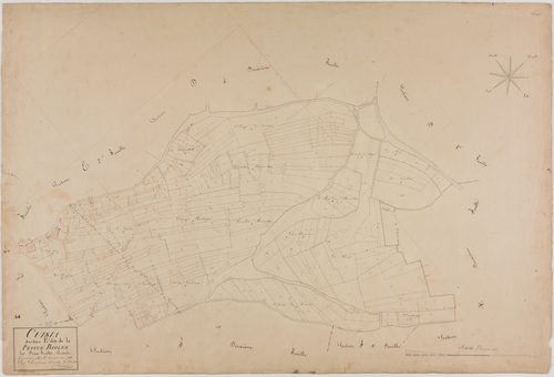 Cuisia, section E, la Petite Biolée, feuille 1.géomètre : Duchesne