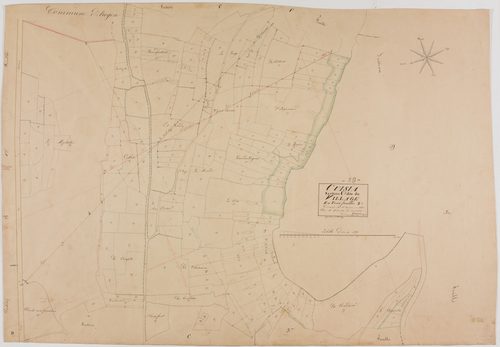 Cuisia, section C, le Village, feuille 2.géomètre : Grenier