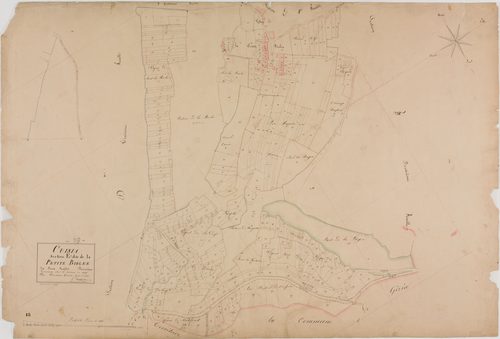 Cuisia, section E, la Petite Biolée, feuille 2.géomètre : Duchesne