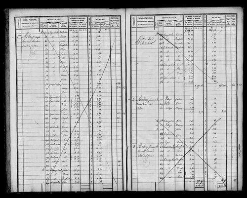 Etat de sections et matrice foncière.