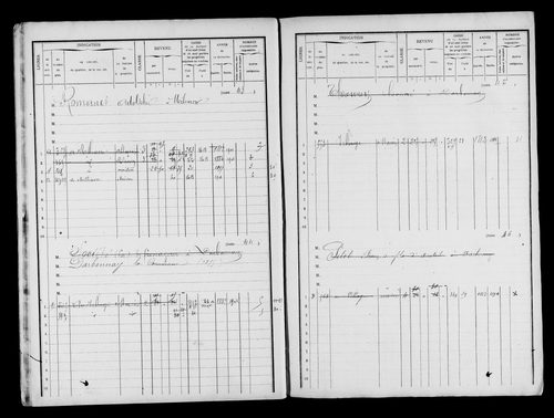 Matrice des propriétés bâties.