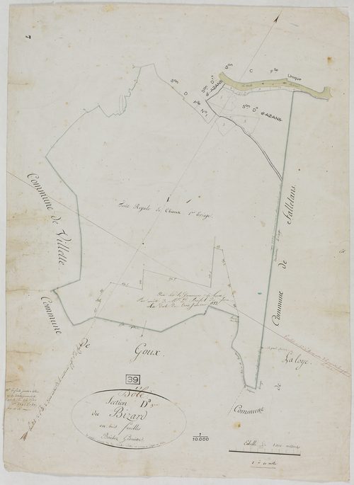 Dole, section D, le Bizard, feuille 3.géomètre : Boichoz