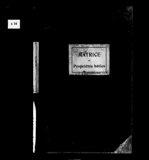 Matrice des propriétés bâties.