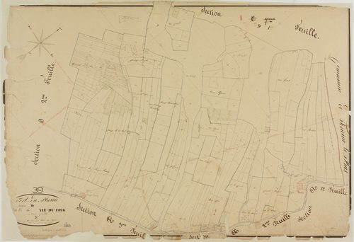 Fort-du-Plasne, section D, la Vie du Four, feuille 3.géomètre : Olivier aîné