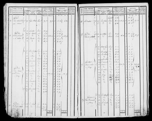 Etat de sections et matrice foncière.