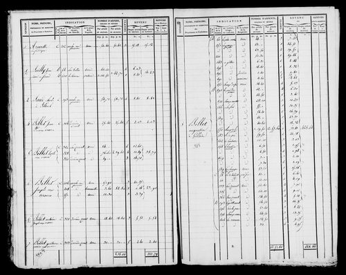 Etat de sections et matrice foncière.