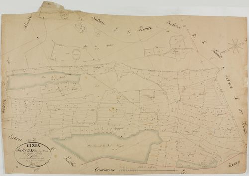 Gizia, section D, Moiria, feuille 1.géomètre : Bénier Sre