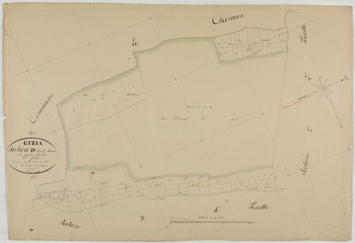 Gizia, section D, Moiria, feuille 3.géomètre : Bénier Sre