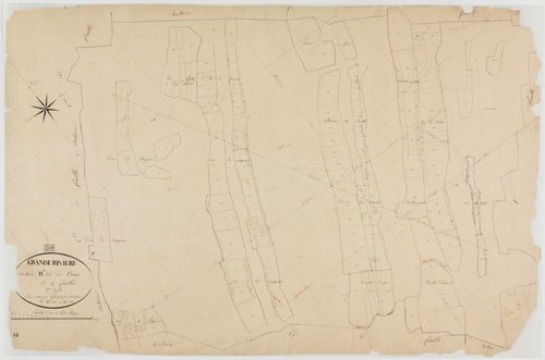 Grande-Rivière, section D, les Cocus, feuille 2.géomètre : Paget