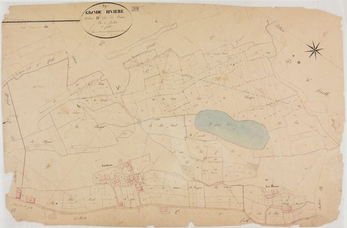 Grande-Rivière, section D, les Cocus, feuille 1.géomètre : Paget