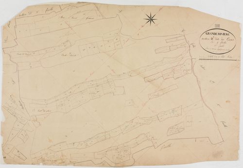 Grande-Rivière, section D, les Cocus, feuille 3.géomètre : Paget