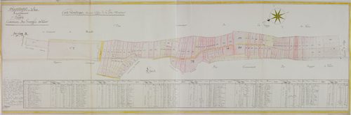 Granges-de-Vaivre. Plan du livre foncier dressé par Mercier et Grégoire, arpenteurs. Plan de la section D.