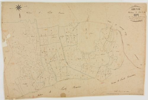 Grusse, section A, la Ripe, feuille 2.géomètre : Patouillot