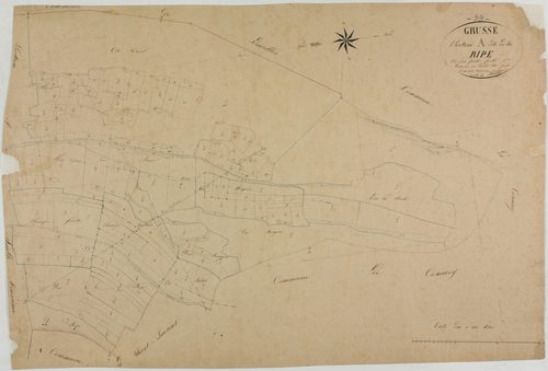 Grusse, section A, la Ripe, feuille 1.géomètre : Patouillot
