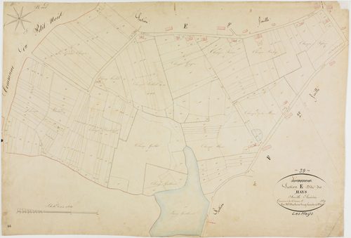 Hays (Les), section E, les Hays, feuille 6.géomètre : H. Duchesne