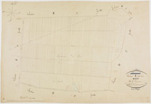 Hays (Les), section E, les Hays, feuille 3.géomètre : H. Duchesne