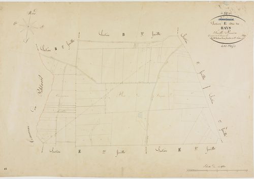Hays (Les), section E, les Hays, feuille 1.géomètre : H. Duchesne