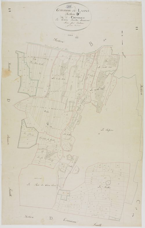 Lains, section D, Coissonet, feuille 2.géomètre : Duchesne