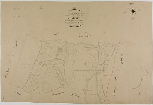 Lavans-sur-Valouse, section C, Montcouz, feuille 2.géomètre : Mathieu Félix