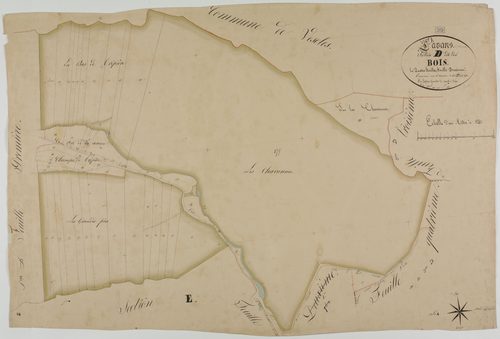 Lavans-sur-Valouse, section D, les Bois, feuille 2.géomètre : Laplace