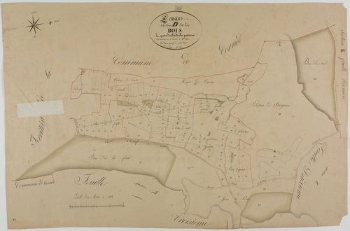 Lavans-sur-Valouse, section D, les Bois, feuille 4.géomètre : Laplace