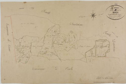 Lavans-sur-Valouse, section D, les Bois, feuille 3.géomètre : Laplace
