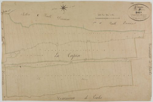 Lavans-sur-Valouse, section D, les Bois, feuille 1.géomètre : Laplace