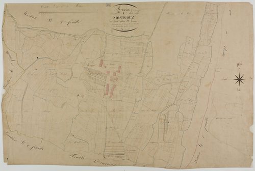 Lavans-sur-Valouse, section C, Montcouz, feuille 1.géomètre : Mathieu Félix