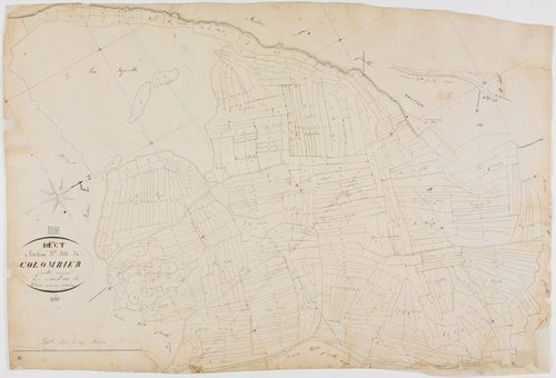 Lect, section B, Colombier, feuille unique.géomètre : Diètre