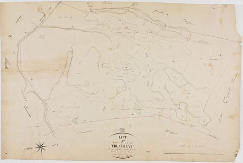 Lect, section C, Trésillat, feuille 3.géomètre : Patouillot