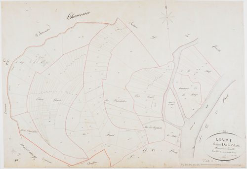Longwy-sur-le-Doubs, section D, la Culatte, feuille 2.géomètre : Pétetin