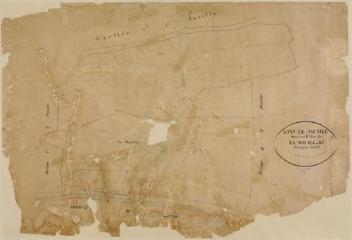 Lons-le-Saunier, section D, la Mouillère, feuille 1.géomètre : F. Olivier et Grenier