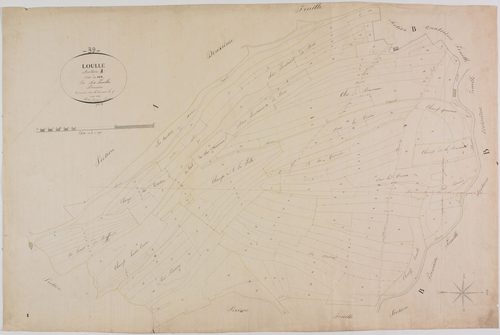 Loulle, section A, le Sud, feuille 1.