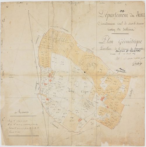 Mantry, section D, Bois Gelot, feuille unique.géomètre : D. Chavassine