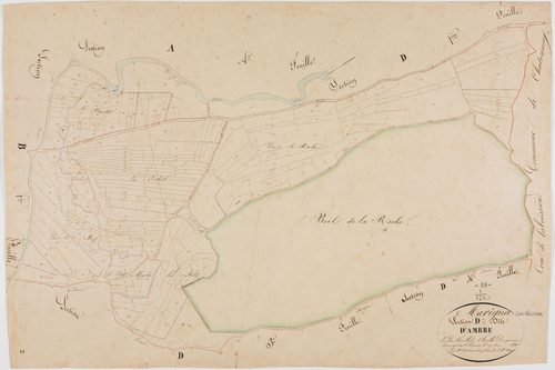Marigna-sur-Valouse, section D, Ambre, feuille 2.géomètre : Duchesne
